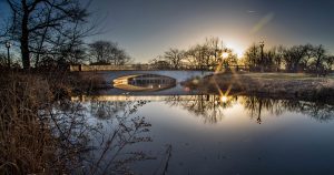 Bridge over a body of water in a park at dawn. | St. Louis, MO