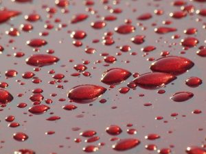 Wet, red paint drops on a flat surface. | Car dealer in Ellisville, MO