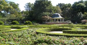 Botanical garden with a person walking by a gazebo in the background. 