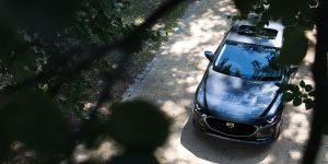 Overhead view looking through tree branches of a charcoal 2020 Mazda3 | Mazda dealer in Ellisville, MO