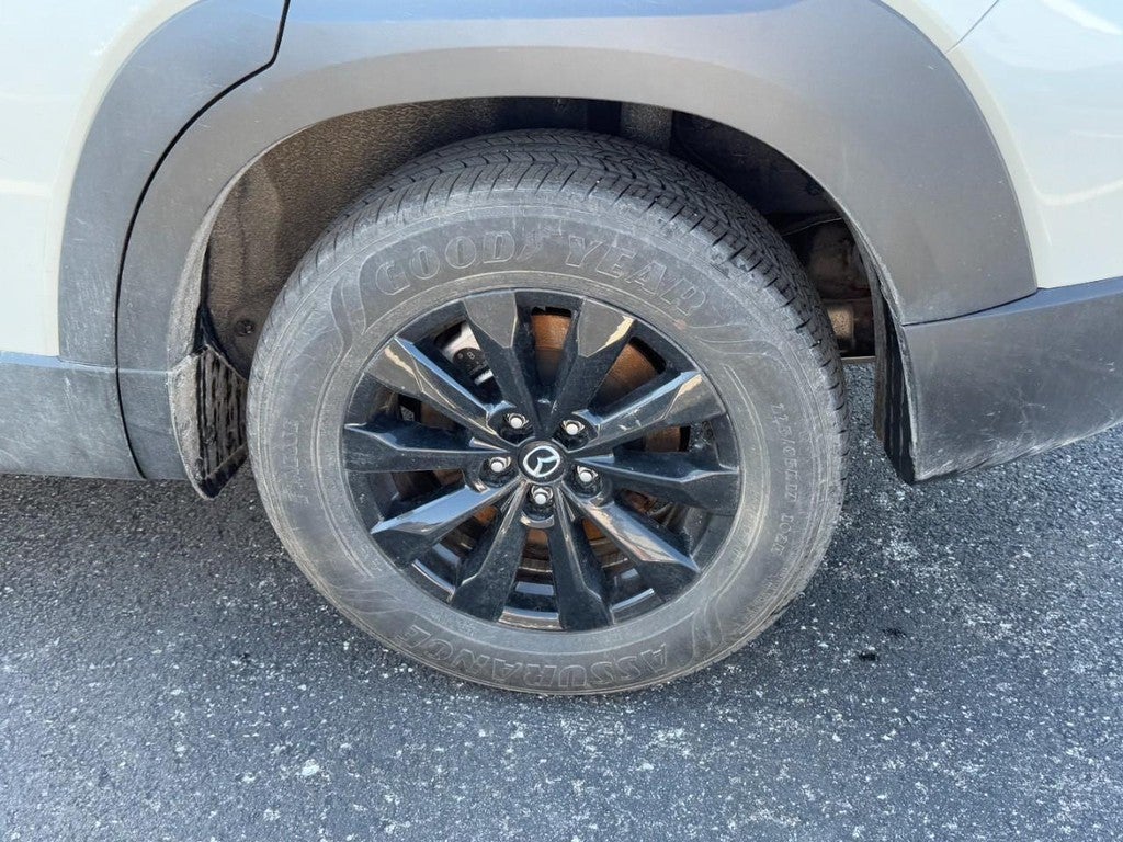 2025 Mazda Mazda CX-50 2.5 S Premium Package AWD