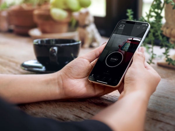 Bommarito Mazda West County in Ellisville MO